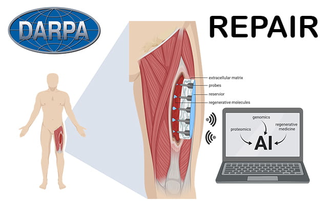 Darpa repair program with some images