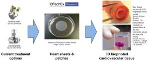 Bioprinting technologies to create cardiovascular tissue